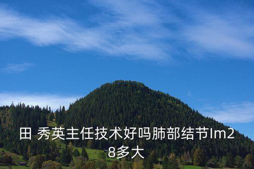 田 秀英主任技術(shù)好嗎肺部結(jié)節(jié)Im28多大