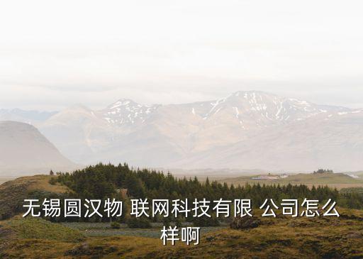 無(wú)錫圓漢物 聯(lián)網(wǎng)科技有限 公司怎么樣啊