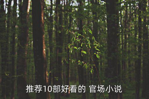 推薦10部好看的 官場小說
