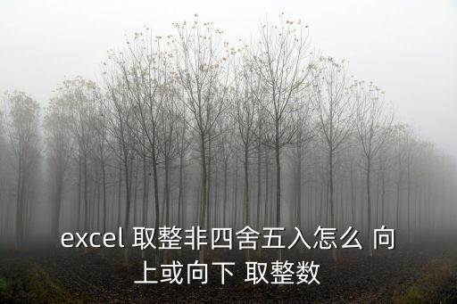 excel 取整非四舍五入怎么 向上或向下 取整數