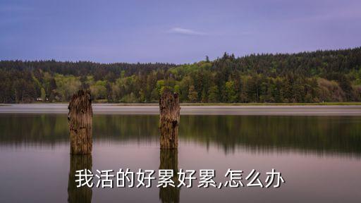 活的好累,你的永遠是你的強求也沒用