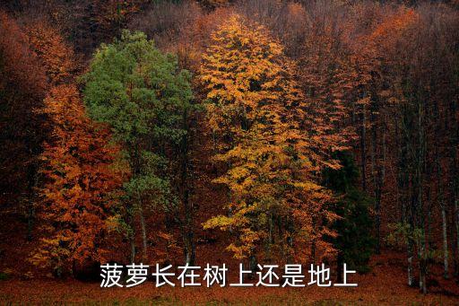 在地,關于一地雞毛你知道這些問題