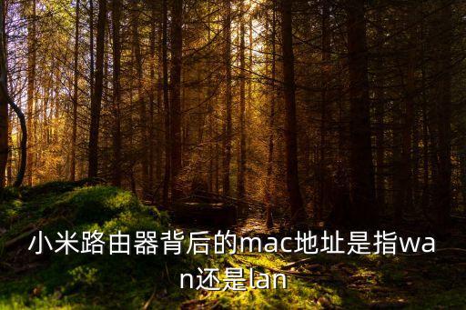 小米路由器背后的mac地址是指wan還是lan