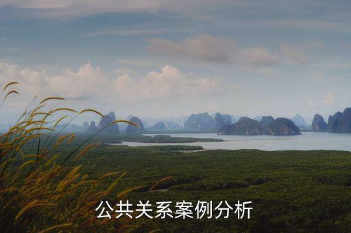 公共關(guān)系案例分析