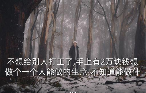 不想給別人打工了,手上有2萬塊錢想做個一個人能做的生意!不知道能做什...