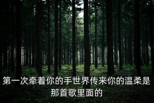 第一次牽著你的手世界傳來(lái)你的溫柔是那首歌里面的
