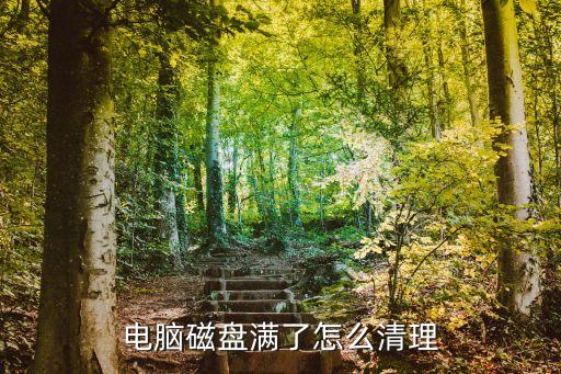 電腦磁盤已滿怎么清理，電腦磁盤滿了怎么清理