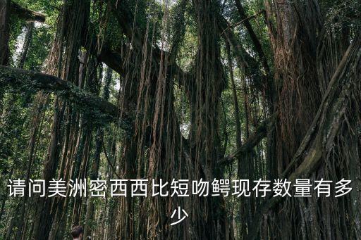美洲短吻鱷，美洲短吻鱷魚(yú)在打斗中會(huì)受傷為什么他們傷口從不感染