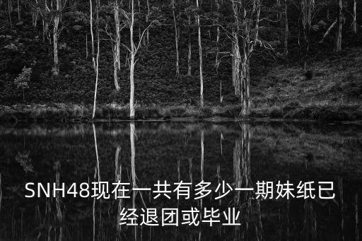 SNH48現在一共有多少一期妹紙已經退團或畢業