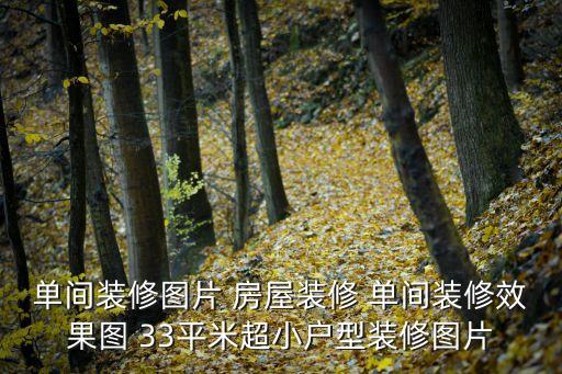 單間裝修圖片 房屋裝修 單間裝修效果圖 33平米超小戶型裝修圖片
