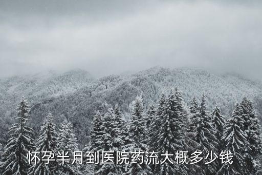 懷孕半月到醫院藥流大概多少錢