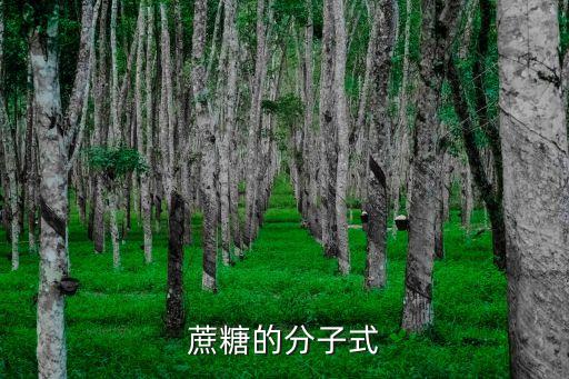 蔗糖的分子式