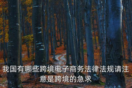 我國有哪些跨境電子商務法律法規請注意是跨境的急求