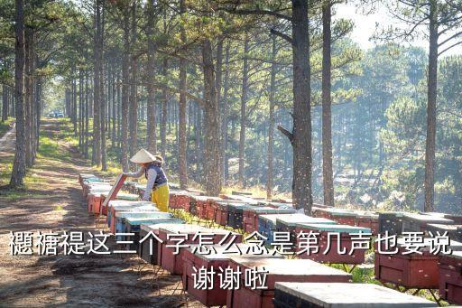 禵怎么讀，禵這個字念什么