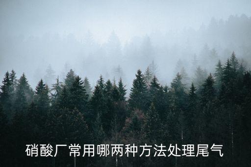 尾氣處理，汽車尾氣處理