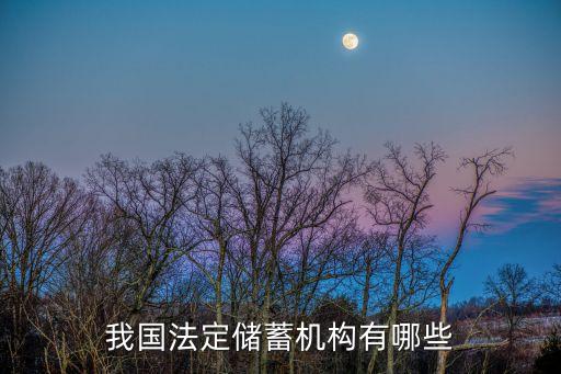儲蓄機構(gòu)，我國的儲蓄機構(gòu)主要是什么