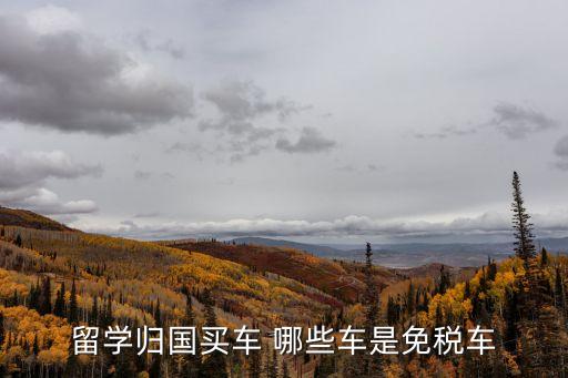 出國留學免稅車，留學歸國買車 哪些車是免稅車