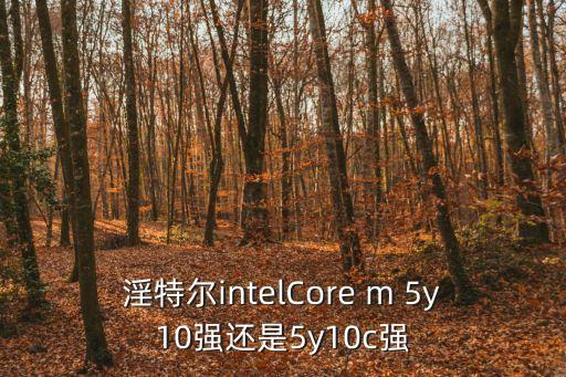 淫特爾intelCore m 5y10強還是5y10c強