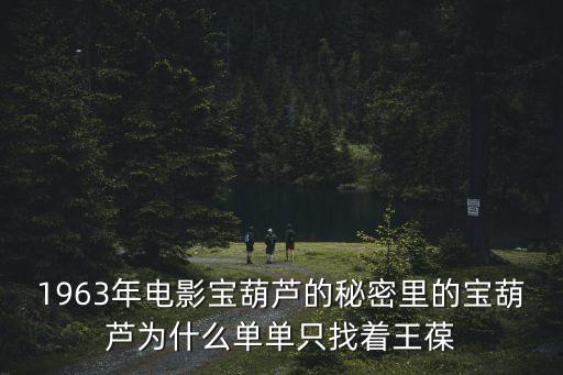 1963年電影寶葫蘆的秘密里的寶葫蘆為什么單單只找著王葆