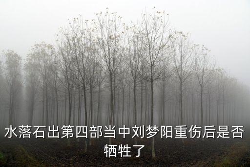 水落石出第四部當中劉夢陽重傷后是否犧牲了