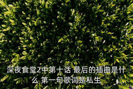 深夜食堂2中第十話 最后的插曲是什么 第一句歌詞是私生