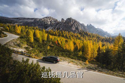 巡撫是幾品官，清朝一個巡撫是多大的官