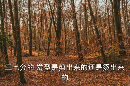 三七分的 發型是剪出來的還是燙出來的