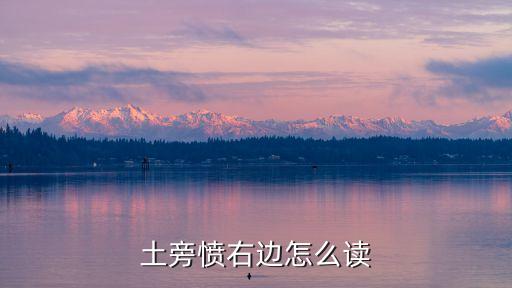 憤的右邊念什么，憤的右半邊讀什么