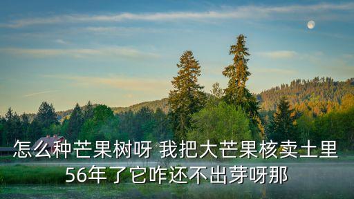如何種芒果，芒果用什么種植