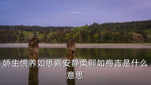 嬌生慣養(yǎng)如思嘉安靜柔弱如梅吉是什么意思