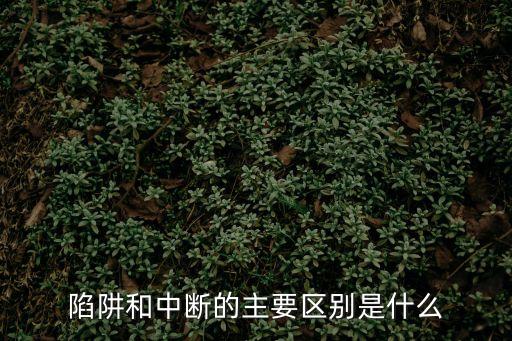 陷阱和中斷的主要區別是什么