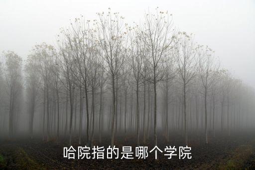 哈院指的是哪個(gè)學(xué)院