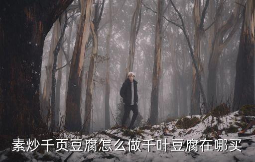 素炒千頁豆腐怎么做千葉豆腐在哪買