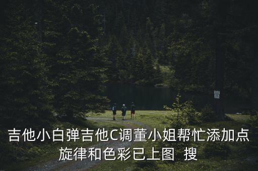 董小姐吉他，我是吉他初學(xué)者宋冬野的董小姐學(xué)起來難不難