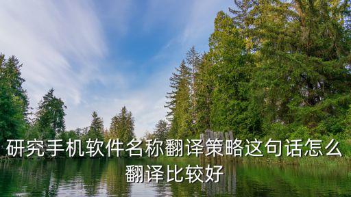 翻譯策略，翻譯中歸化策略是不是目標語言文化策略急