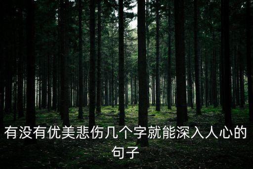 有沒有優(yōu)美悲傷幾個字就能深入人心的句子