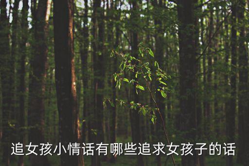 追女孩小情話有哪些追求女孩子的話