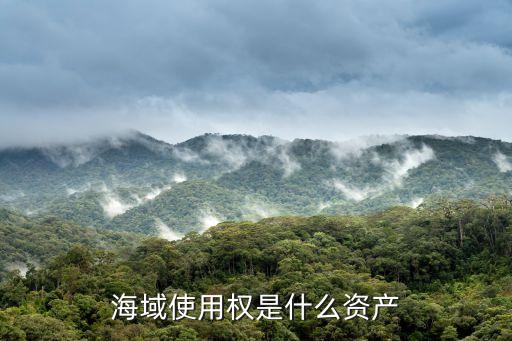 海域使用權，海域使用權是什么資產(chǎn)