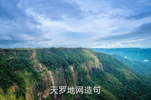 天羅地網造句，四顧無人造句謝謝嗯