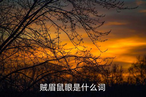 賊眉鼠眼，賊眉鼠眼是什么意思