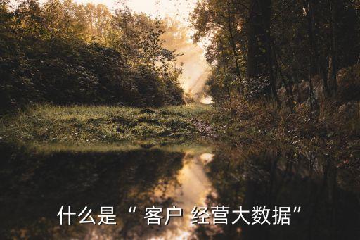 什么是“ 客戶 經營大數據”