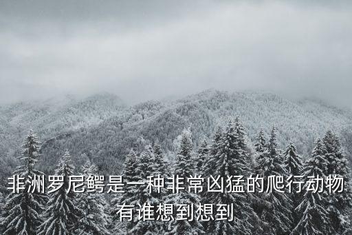 非洲羅尼鱷是一種非常兇猛的爬行動物有誰想到想到