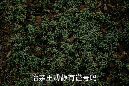 和碩怡親王，清朝的王爵都分那幾個等級和碩親王是不是最高級