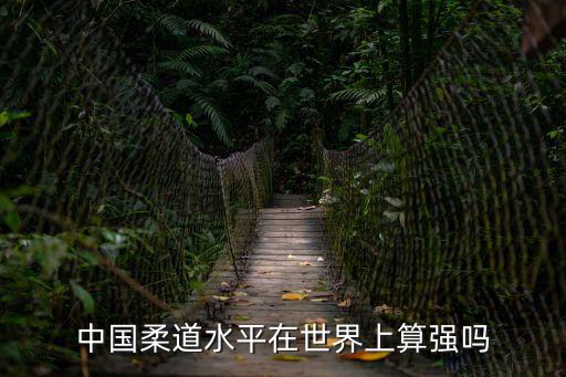 中國柔道水平在世界上算強嗎