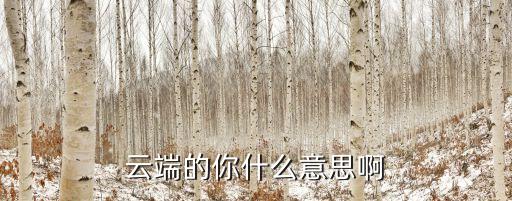 云端的你什么意思啊