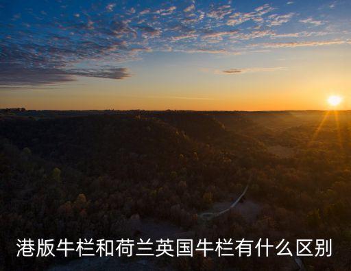 港版牛欄和荷蘭英國牛欄有什么區別