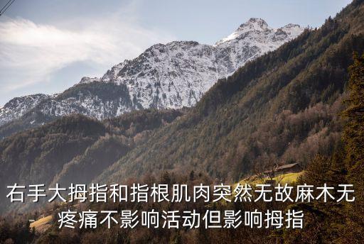 右手大拇指和指根肌肉突然無故麻木無疼痛不影響活動但影響拇指