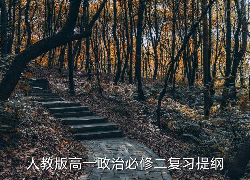 人教版高一政治必修二復習提綱