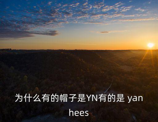 yanhee,泰國(guó)醫(yī)院和dc的異同點(diǎn)