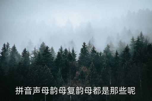 拼音聲母韻母復(fù)韻母都是那些呢